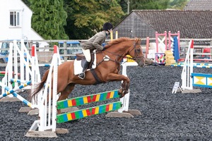 Class 5 - Fences not above 2'6